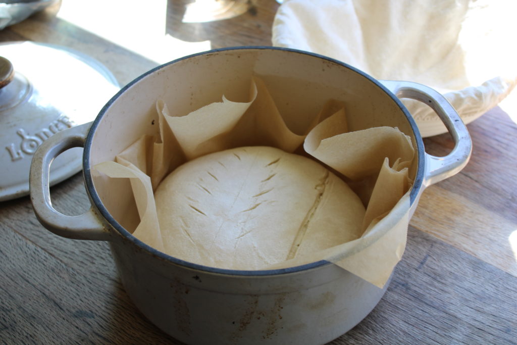 sourdough sitting in a pot