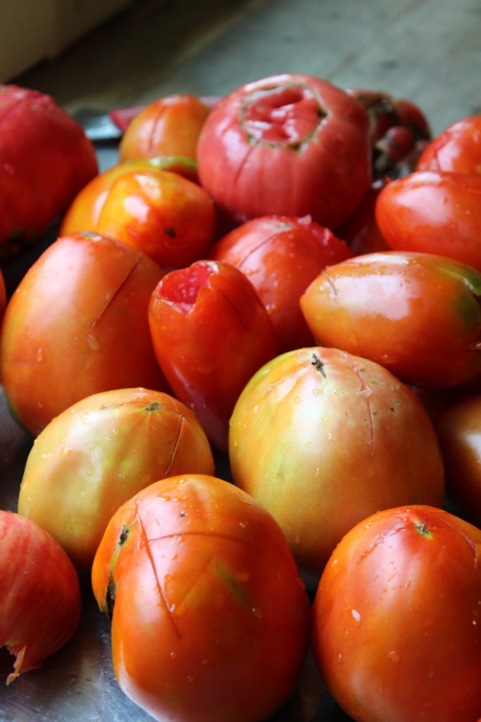 learn how to can whole tomatoes 