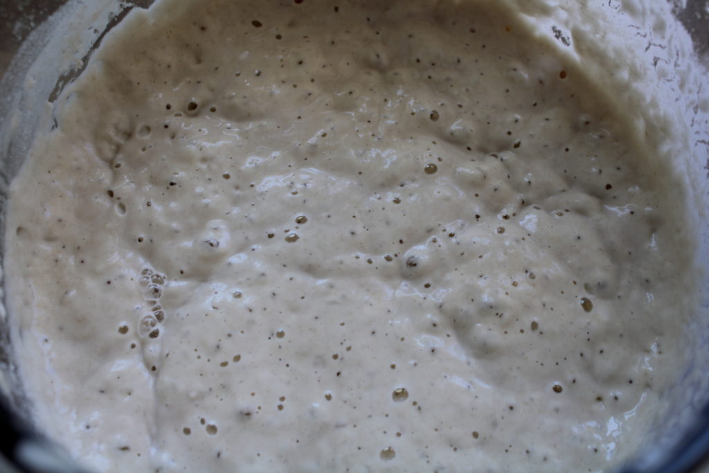 Sourdough Starter