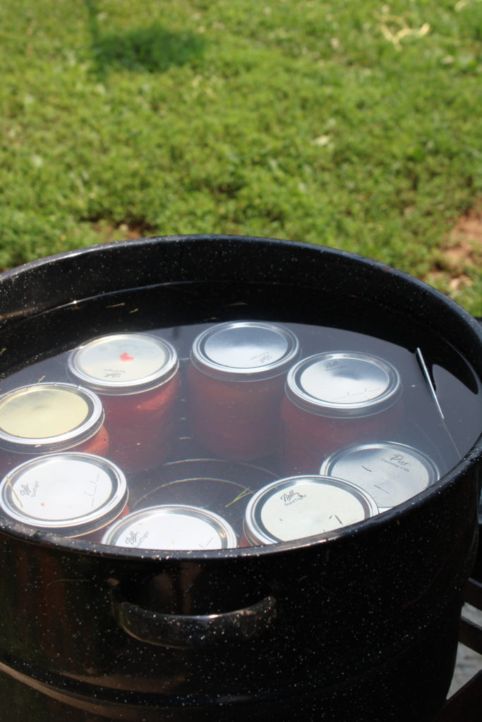 showing how to can whole tomatoes using the water bath method