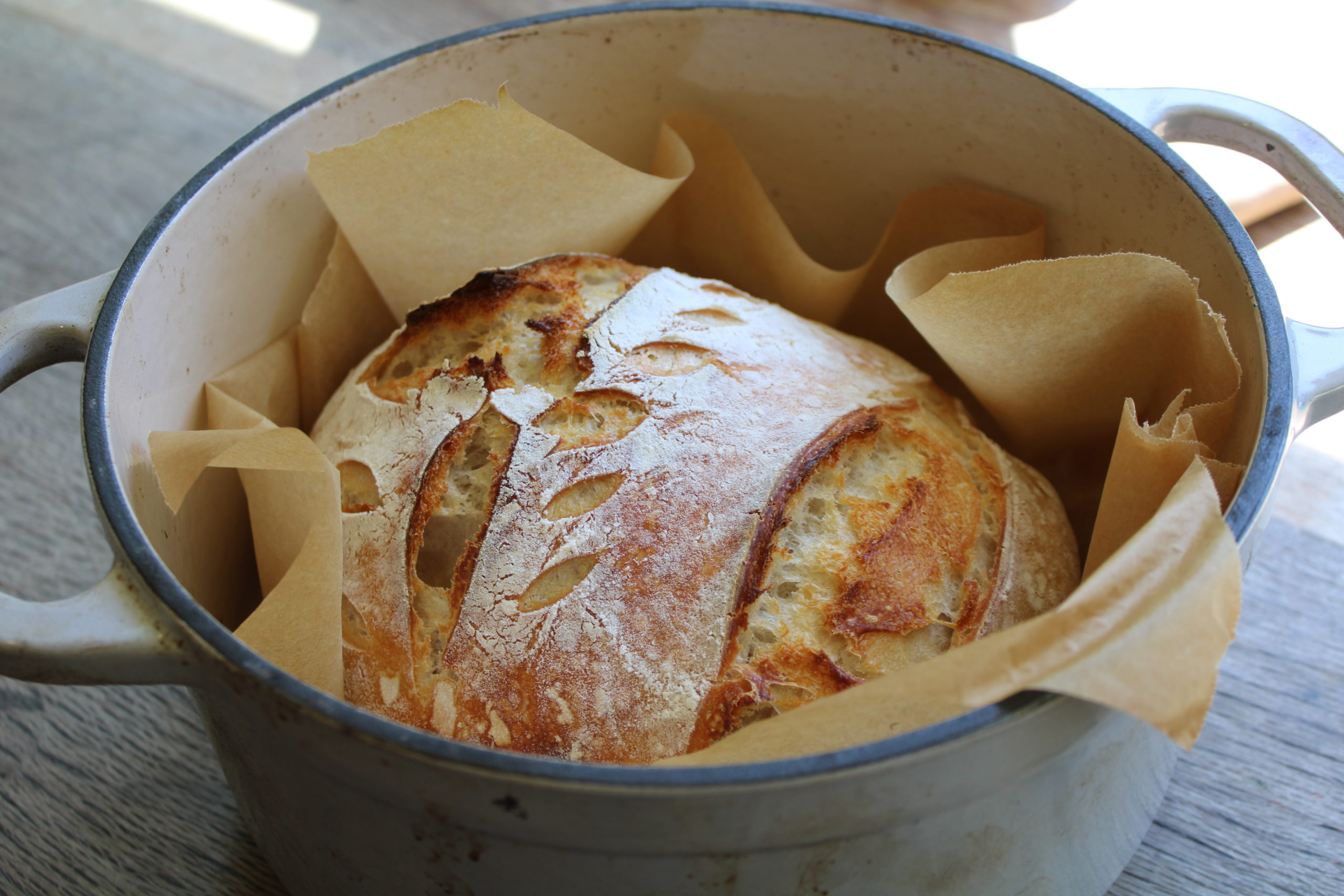 picture of a Sourdough loaf sitting in a gray dutch oven pot