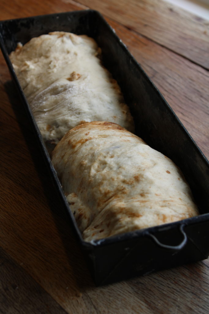 a picture of cinnamon raisin bread in bread pans 