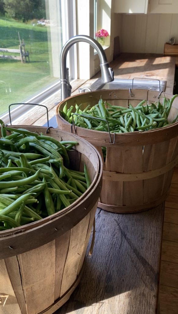 how to blanch green beans