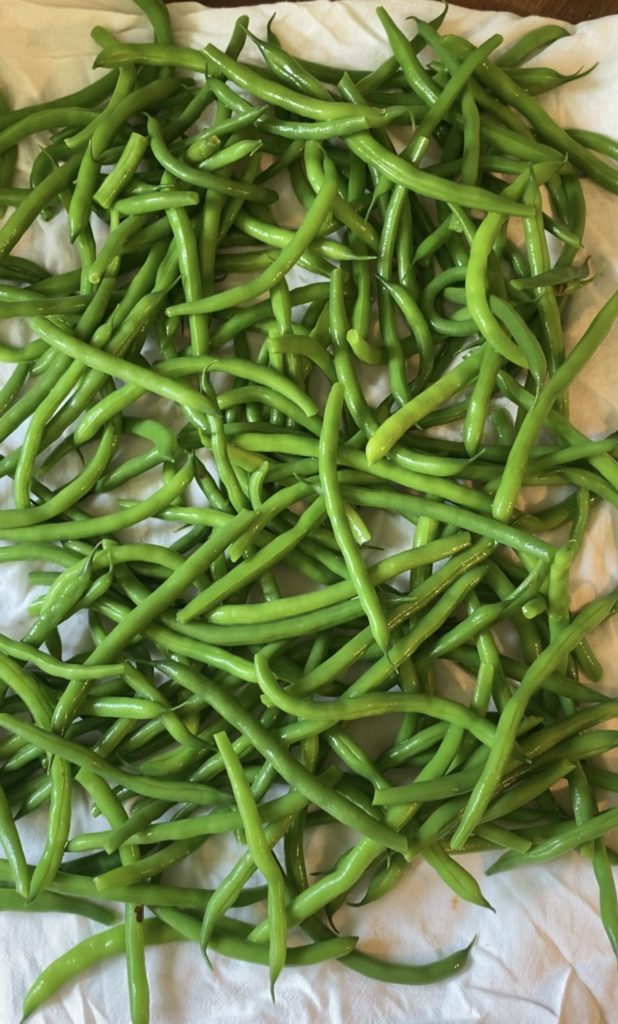 blanched green beans on a cookie sheet