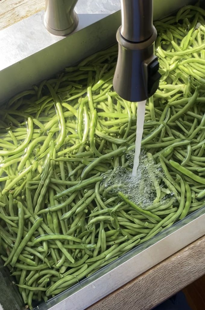 green beans in a sink