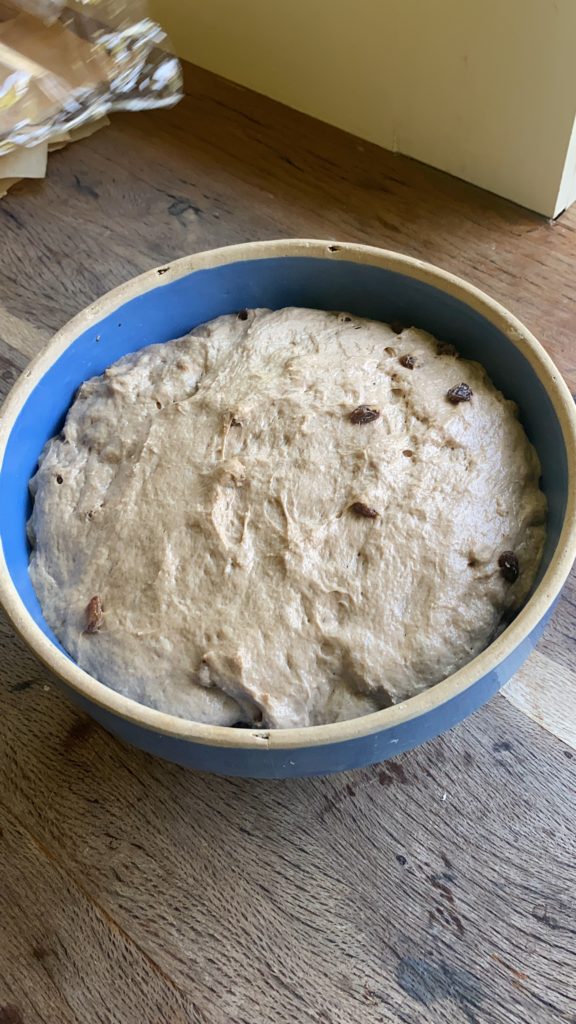 bagel dough in a blue bowl