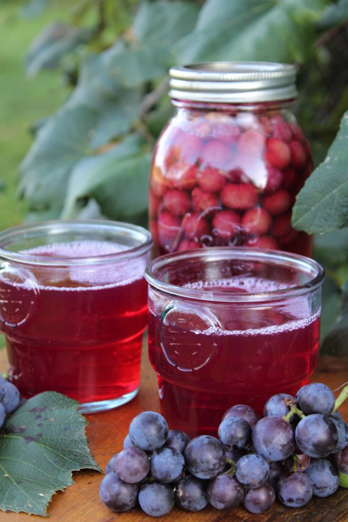 grape juice in a cup