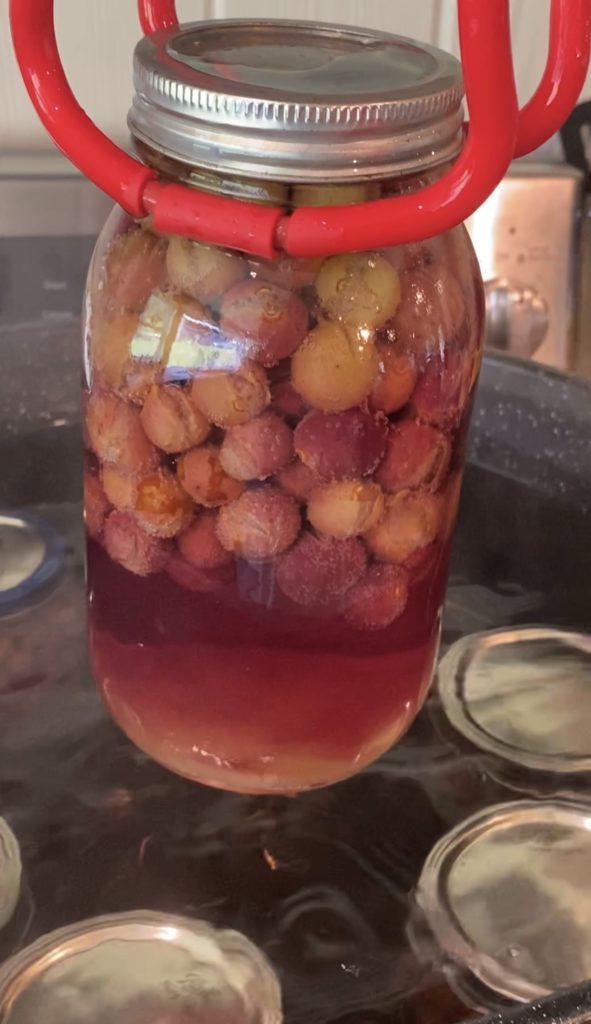 canning the grape juice