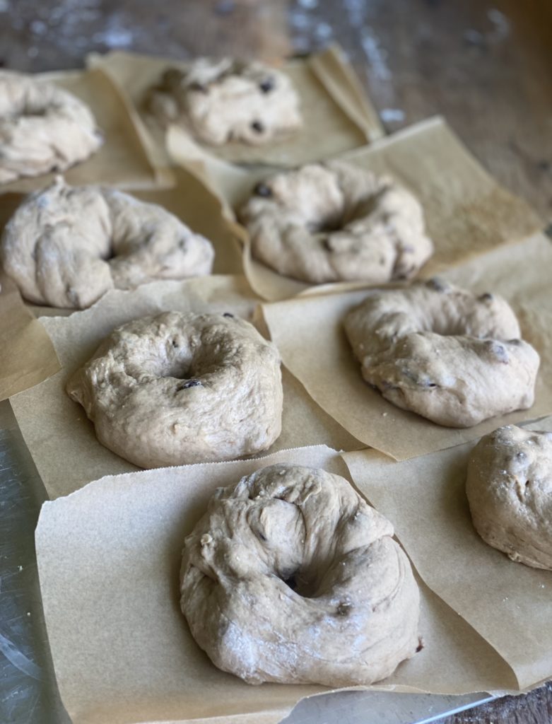 showing how to make sourdough discard cinnamon raisin bagels