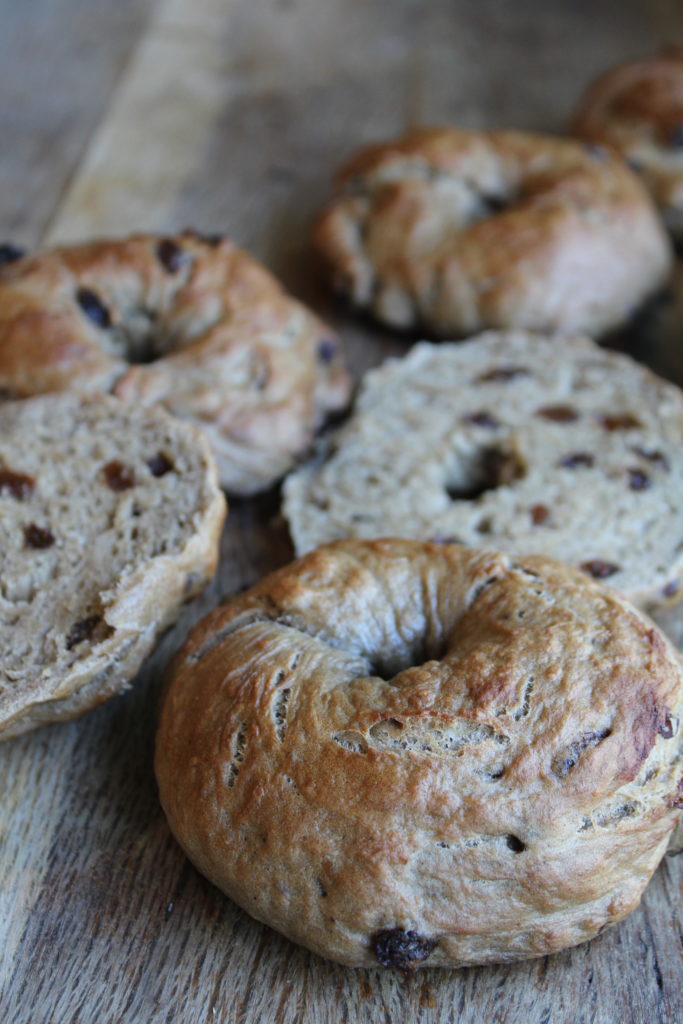 sourdough discard cinnamon raisin bagels on the counter